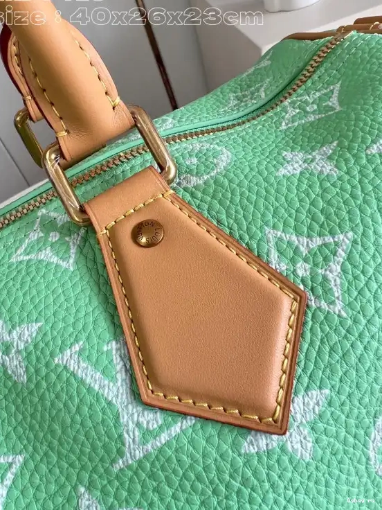 40 Vuitton SPEEDY Louis 0519